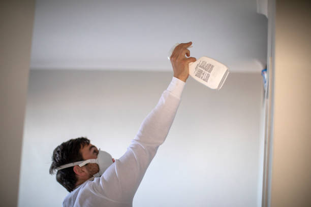 Best Mold Remediation  in Pantops, VA