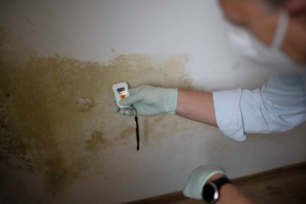 Best Mold Removal Process  in Pantops, VA