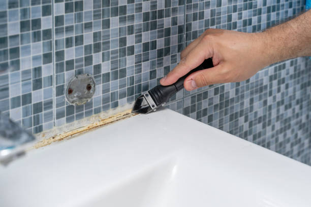 Professional Mold Removal in Pantops, VA