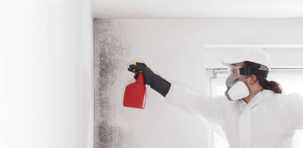 Best Office Mold Removal Services  in Pantops, VA
