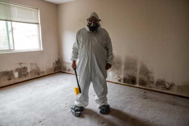 Best Commercial Mold Removal  in Pantops, VA